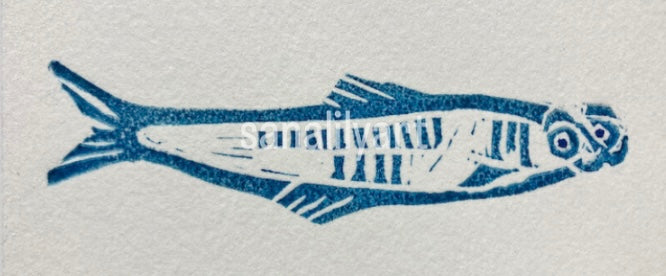 3 Funny Fish Print