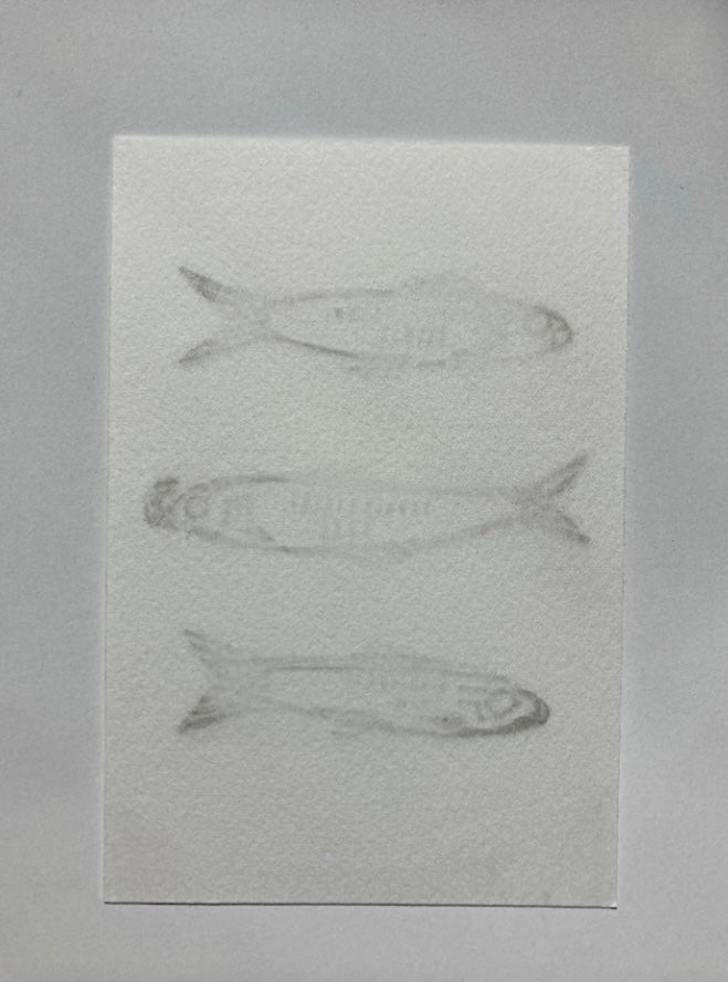 3 Funny Fish Print